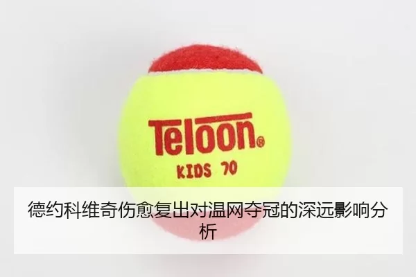 德约科维奇伤愈复出对温网夺冠的深远影响分析